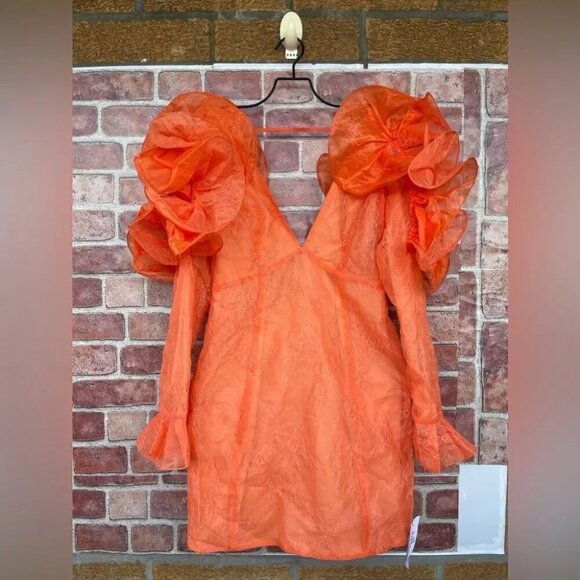 NWT ASOS LUXE Ruffle Shoulder Lace Mini Dress size 6 - Picture 4 of 14